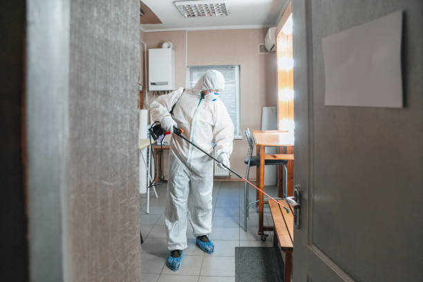 Best Environmental Consulting for Mold Prevention  in Washburn, WI